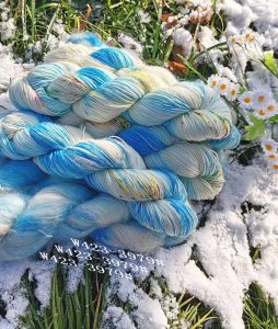 Hand dyed yarn W423-3979#
